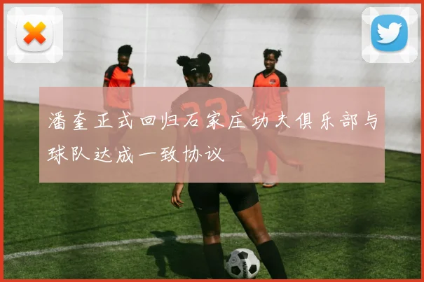 潘奎正式回归石家庄功夫俱乐部与球队达成一致协议