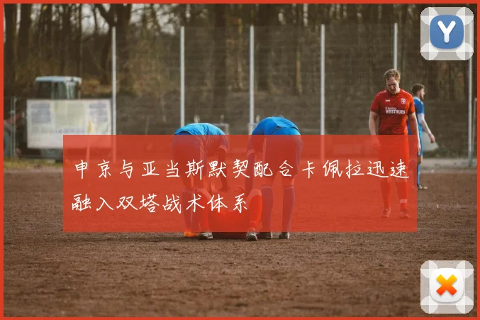 申京与亚当斯默契配合卡佩拉迅速融入双塔战术体系