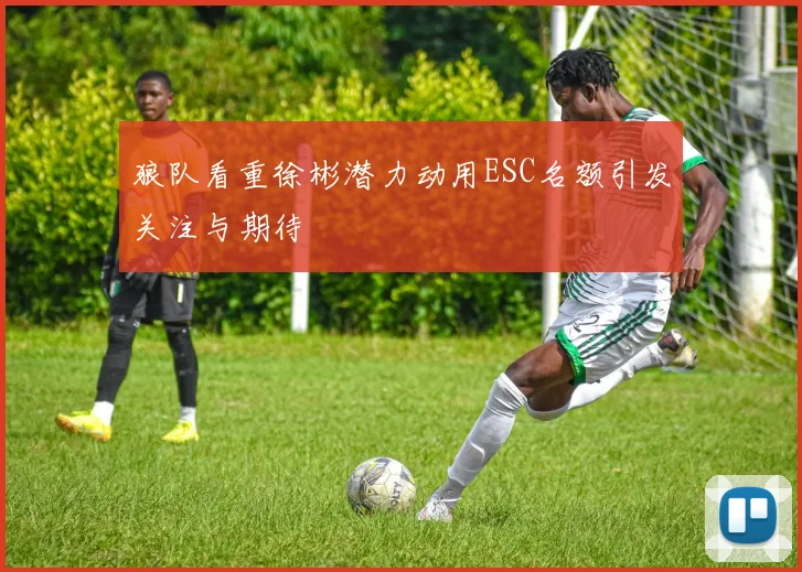 狼队看重徐彬潜力动用ESC名额引发关注与期待