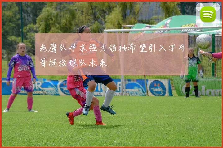 老鹰队寻求强力领袖希望引入字母哥拯救球队未来