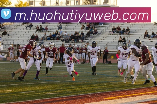 App Interface Preview